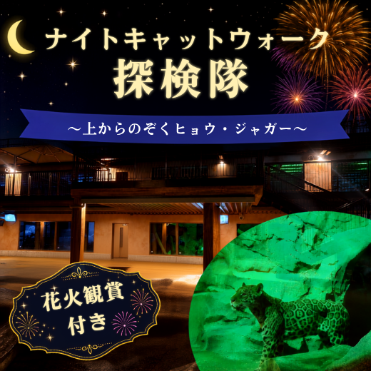 花火観賞付き ナイトキャットウォーク探検隊 (PNG 463KB)