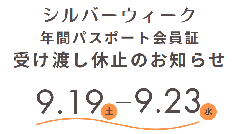SWサムネ.png