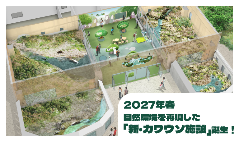 2027年春 カワウソ施設誕生