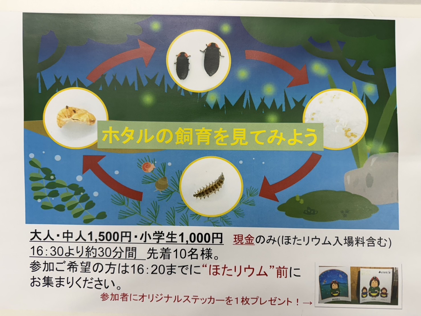 image0 (JPEG 300KB)