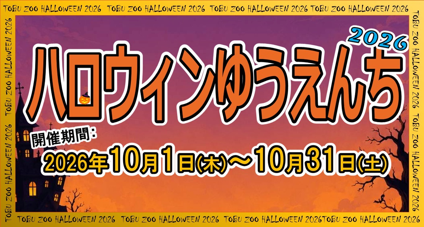 ハロウィン2026サムネ (JPG 281KB)