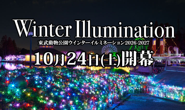 ウインターイルミネーション2026-2027
