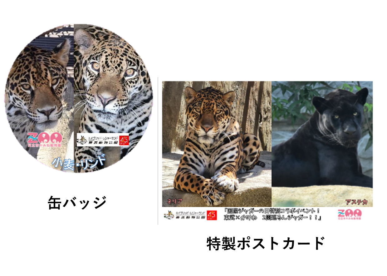 HP内ノベルティ画像.png