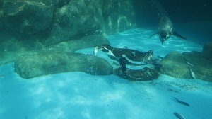 0_ep_1648374413.JPG