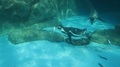 0_ep_1648374413.JPG