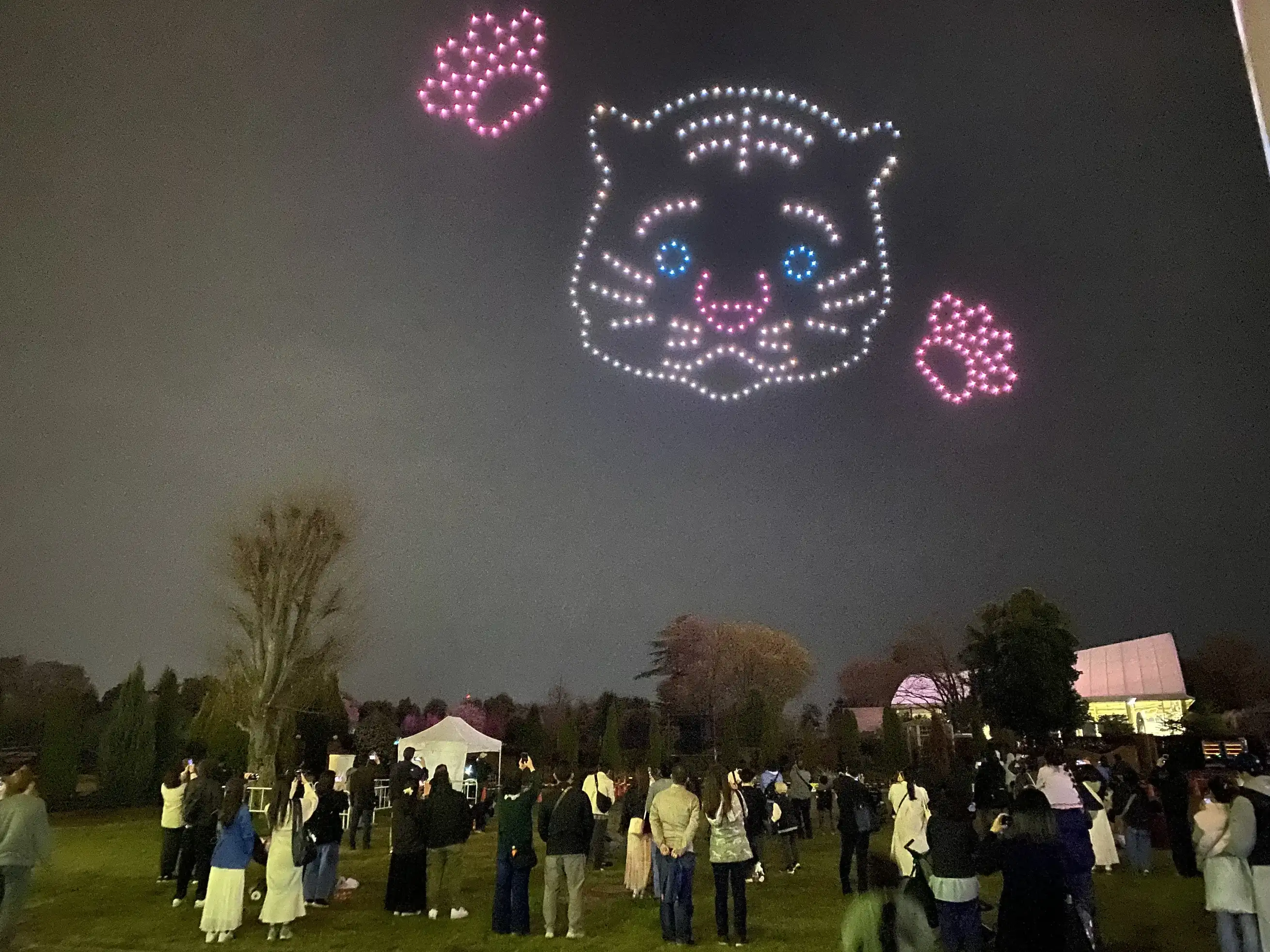 ドローンショー2026 夏