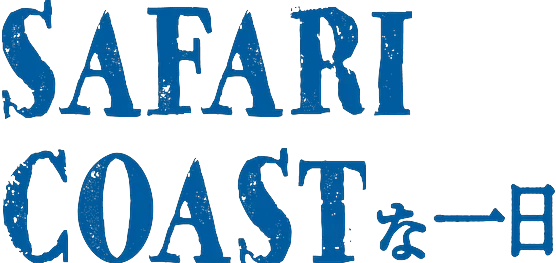 SAFARI COASTな一日