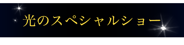 光のスペシャルショー