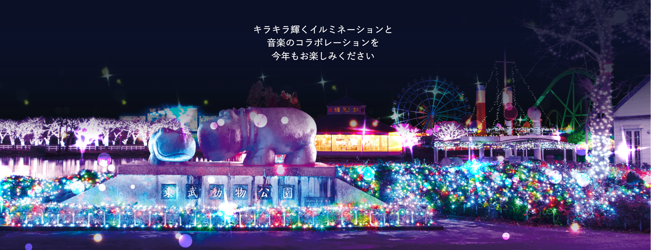 ライトアップの画像とメッセージ「キラキラ輝くイルミネーションと音楽のコラボレーションを今年もお楽しみください」